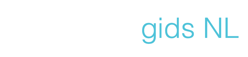 Paysafecard Gids NL